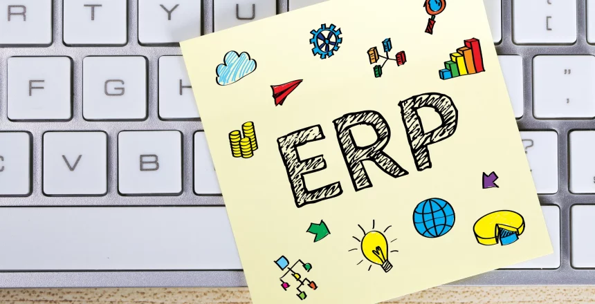Custom ERP Software Development Services